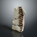 Stone Rock Stone Stone Appreciation Stone Strange Stone Ore Realistic 3d model