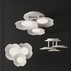 modern chandelier petal chandelier ceiling lamp modeling lamp 3d model