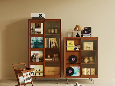 Modern Wooden Glass Door Bookcase Interior With Books Vinyl Records Storage Jars And Decorative Items 3d model