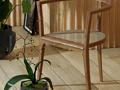 Natural Style Leisure Chair With Wooden Frame Rattan Seat And Green Plant Accent 3d model