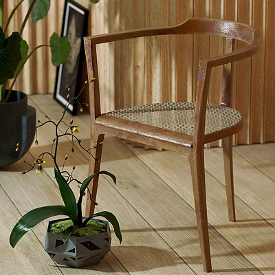 Natural Style Leisure Chair With Wooden Frame Rattan Seat And Green Plant Accent 3d model