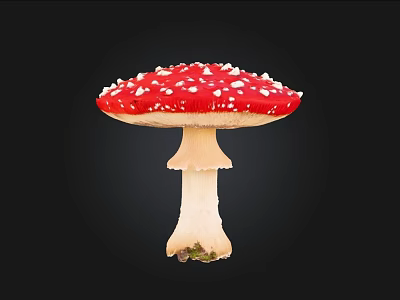 Vibrant Red Mushroom With White Spots On Cap And Cream Stem 3d model