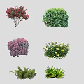 2D Plant Tree 3d model
