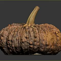 Fresh Orange Pumpkin With Bumpy Texture And Brown Stem On Dark Background