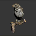 Small Brown Bird Perched On Wooden Branch With Detailed Feathers And Reflection