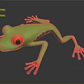Vibrant Green Frog With Red Eyes And Red Toes On Black Background