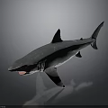 Gray Shark 3D Model with Open Mouth and Sharp Teeth on Dark Gradient Background 3d model
