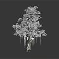 Two White Frosted Trees With Hanging Icicles And Clear Reflection On Dark Background