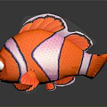Vibrant Red Clownfish With White Stripes And Black Edged Fins On Black Background