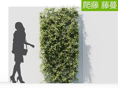 Modern Vine Wall 3d model