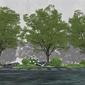 Lush Arbor Trees In Natural Landscape With Green Grass Stones Shrubs And Water Surface