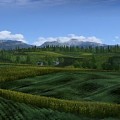 Modern Tea Garden Mountain Tea Garden Farmland Landscape 3d model