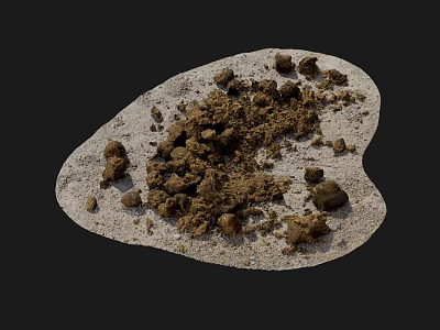 Heart Shaped Light Colored Base With Brown Clumps And Powder Substance 3d model