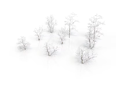 Scenic Winter Landscape With Multiple Bare Trees Standing on White Snowy Ground 3d model
