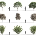Arbor Trees In Various Shapes With Human Figures For Scale 3d model