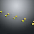 Small Group Of Adorable Yellow Baby Chickens Playing On Dark Background