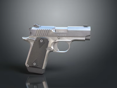 pistol semi-automatic pistol automatic pistol modern weapon hot weapon hot weapon gun military 3d model