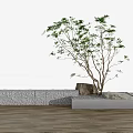 Garden Ornament With Small Tree Decorative Stone And Concrete Base On Wooden Floor
