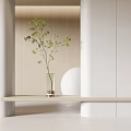 Modern Glass Vase With Green Leafy Twigs On Wooden Shelf In Minimalist Interior