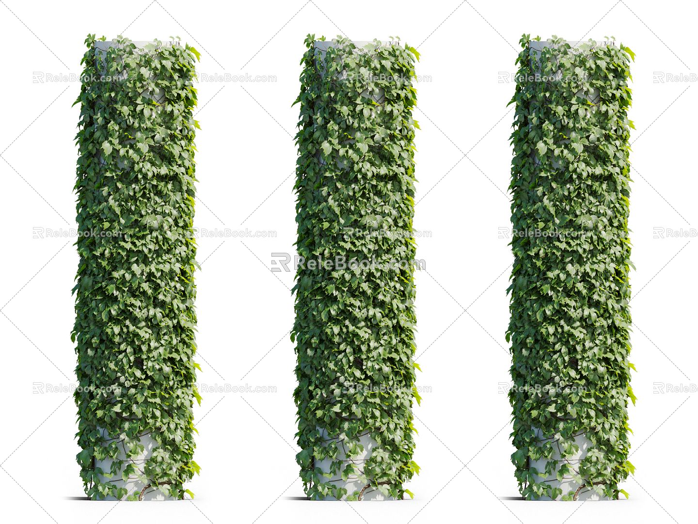 Modern Vine Vine Plant 3d model