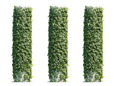 Green Vines Covering Three Decorative Pillars With Lush Foliage And Natural Texture 3d model