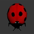 Cartoon Ladybug With Red Back Black Spots And White Eyes On Dark Background