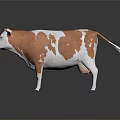 Brown And White Cow Standing On Black Background With Reflection 3d model
