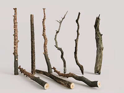 Natural Wooden Branches For Decorative Craft Projects And Rustic Design 3d model