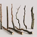 Natural Wooden Branches For Decorative Craft Projects And Rustic Design 3d model