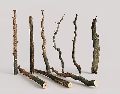 Natural Wooden Branches For Decorative Craft Projects And Rustic Design 3d model