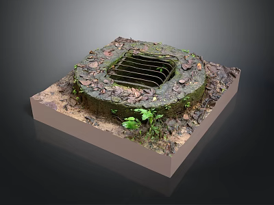 Round Grate Drainage Scene Structure With Moss Fallen Leaves Small Plants On Square Base 3d model