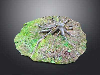 Natural Wood Stone Decorative Piece With Tree Roots And Grass For Home Decoration 3d model
