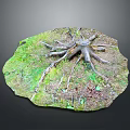 Natural Wood Stone Decorative Piece With Tree Roots And Grass For Home Decoration
