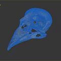 Detailed Bird Skull Anatomical Structure With Cranial Bone Features And Skeleton Details 3d model