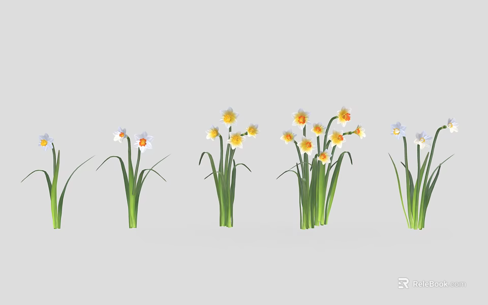 Green Stemmed Plants With Yellow And White Flowers Arranged In Row On Gray Background 3d model 