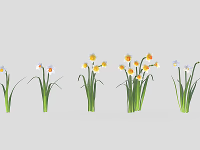 Green Stemmed Plants With Yellow And White Flowers Arranged In Row On Gray Background 3d model