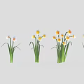 Green Stemmed Plants With Yellow And White Flowers Arranged In Row On Gray Background