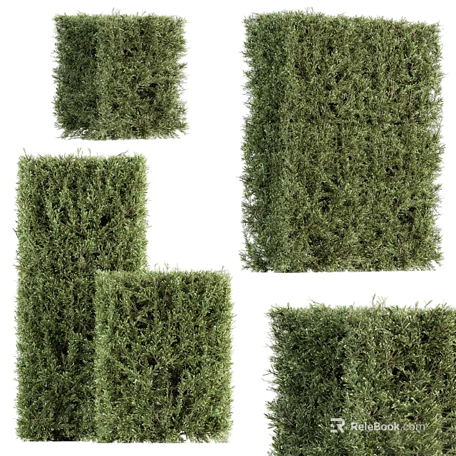 Green Shrubs In Various Shapes For Outdoor Garden Landscaping Design 3d model 