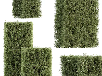 Green Shrubs In Various Shapes For Outdoor Garden Landscaping Design 3d model