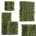 Green Shrubs In Various Shapes For Outdoor Garden Landscaping Design