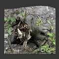 Rustic Tree Stump Decorative Piece With Broken Trunk Sections And Small Green Plants