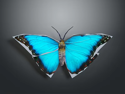 Vibrant Blue Butterfly With Black Edged Wings And Colorful Spots On Gray Background 3d model