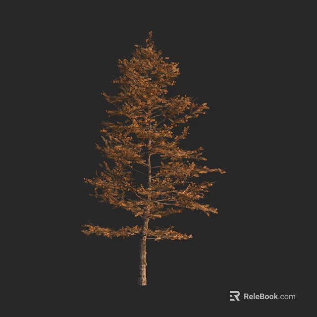 Tall Arbor Featuring Golden Foliage And Slender Trunk On Black Background 3d model