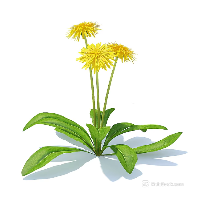 Vibrant Shrub With Yellow Flowers And Lush Green Leaves In Garden 3d model 