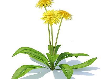 Vibrant Shrub With Yellow Flowers And Lush Green Leaves In Garden 3d model