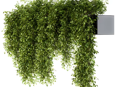 Lush Green Hanging Vines Decorative Plants With Wall Mounted Planter Stand 3d model