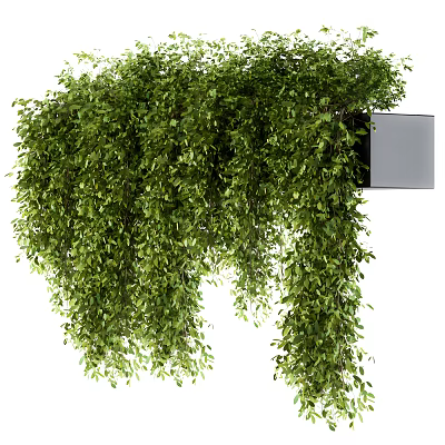 Lush Green Hanging Vines Decorative Plants With Wall Mounted Planter Stand 3d model
