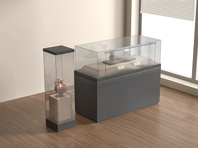 Modern Display Cabinets With Glass Front And Wooden Base In Bright Room With Wooden Floor 3d model