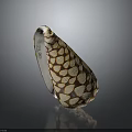 Conch Shell With Shiny Brown And White Spotted Conical Pattern On Dark Background 3d model