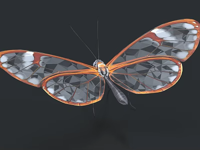 Transparent Winged Butterfly with Orange White Patterns and Geometric Design in Graceful Flight 3d model